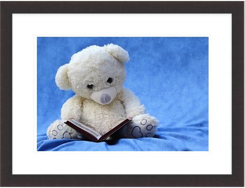 Still Life Teddy White Read Book Background Blue 